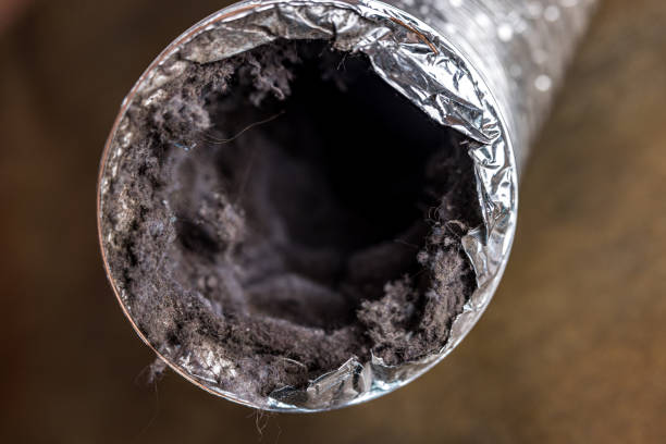Best HVAC Duct Inspection Services  in River Edge, NJ