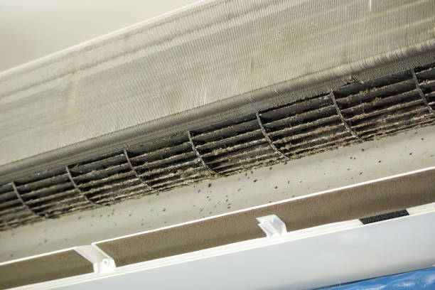 Best HVAC Duct Inspection Services  in River Edge, NJ