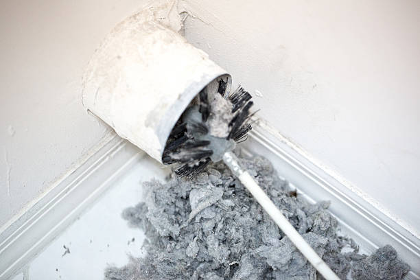 Best Professional Duct Cleaning Services  in River Edge, NJ